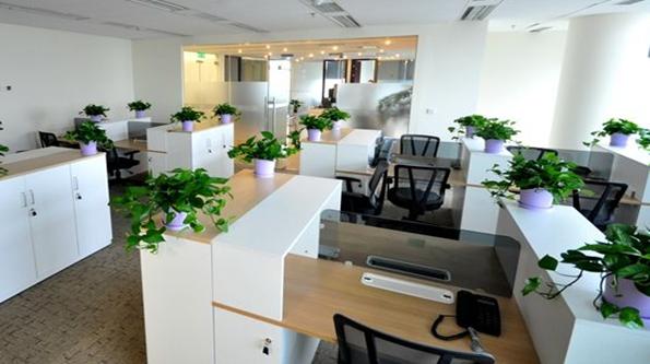 长沙办公室装修污染如何才能有效预防